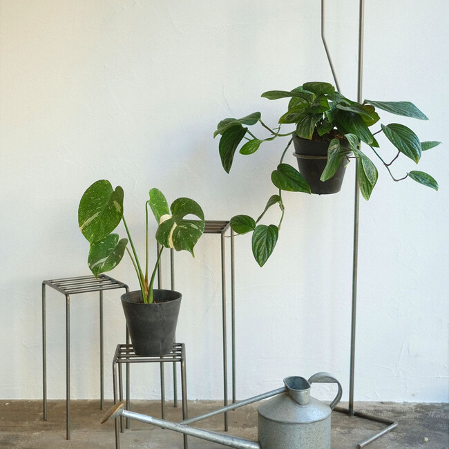 PLOP HANGING HOLDER（M） 