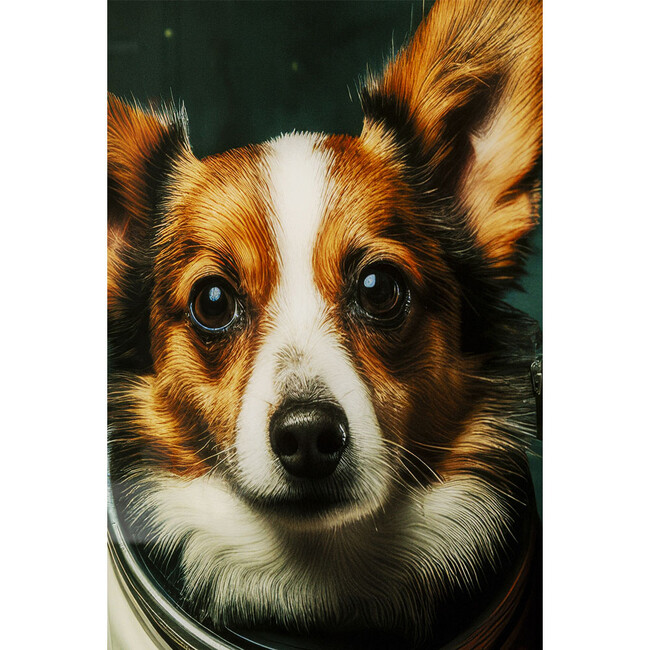 アストロノート ドッグ 80x60cm ガラスアート 