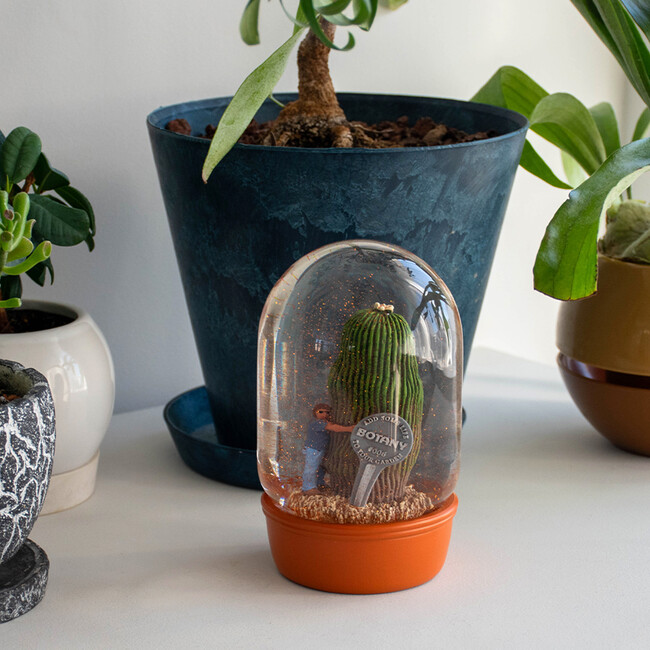 プランツ ウォーター グローブ カクタス ウィズ メン 