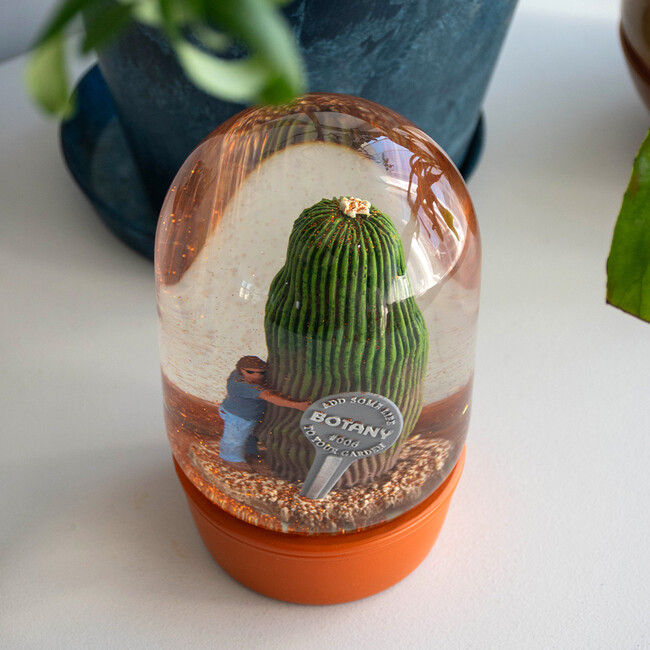 プランツ ウォーター グローブ カクタス ウィズ メン 