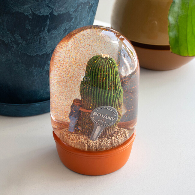 プランツ ウォーター グローブ カクタス ウィズ メン 