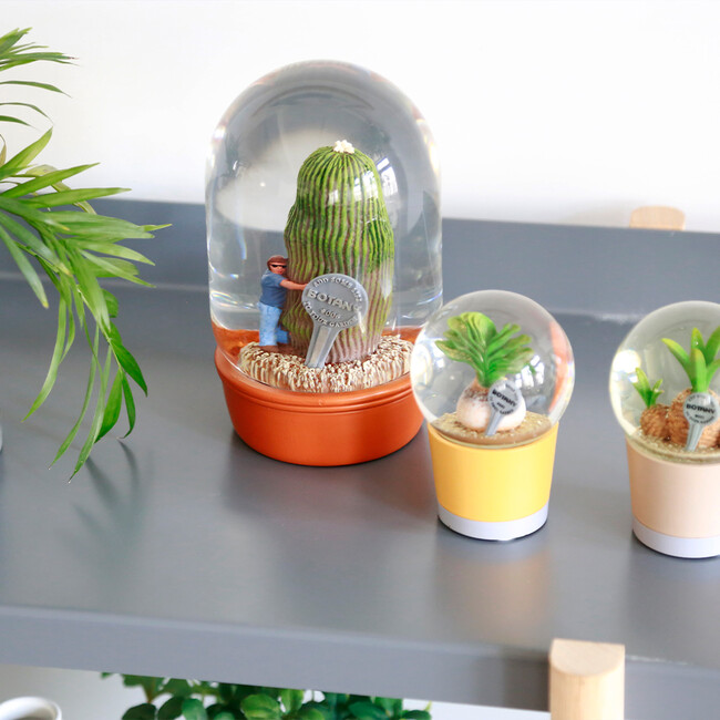 プランツ ウォーター グローブ カクタス ウィズ メン 