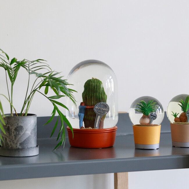 プランツ ウォーター グローブ カクタス ウィズ メン 