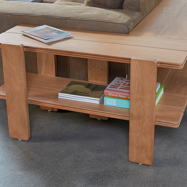 Leroy Sofa Bookshelf 